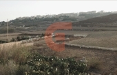 Screenshot 2025-03-31 162818
