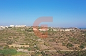 DJI_0024
