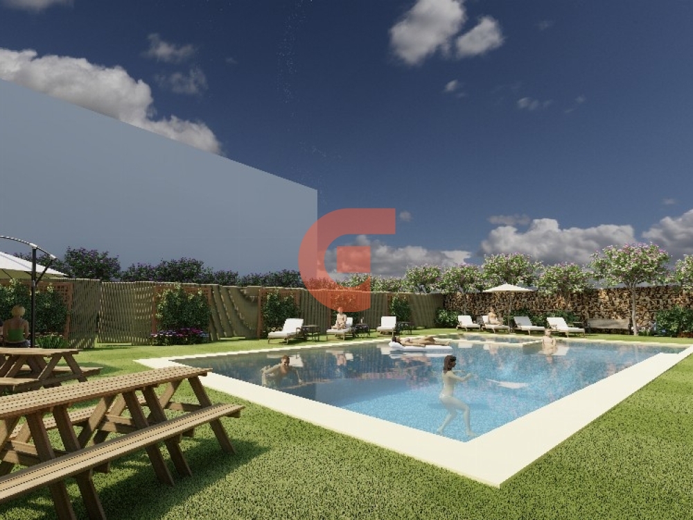 195_backyard (2)_1000x1000