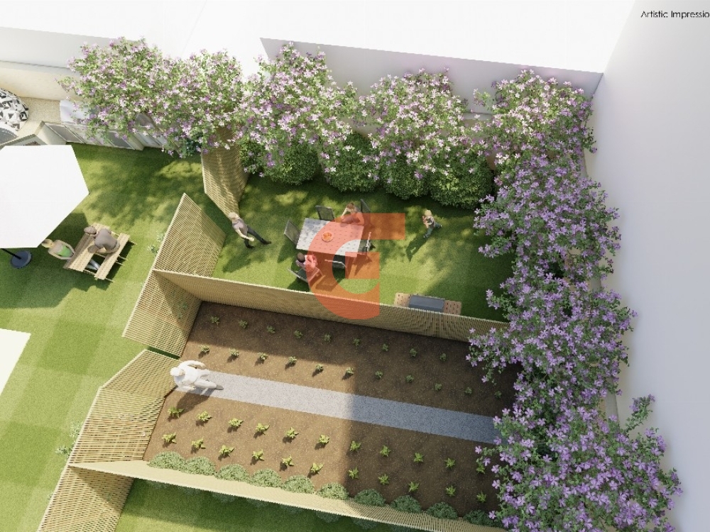 195_backyard (3)_1000x1000