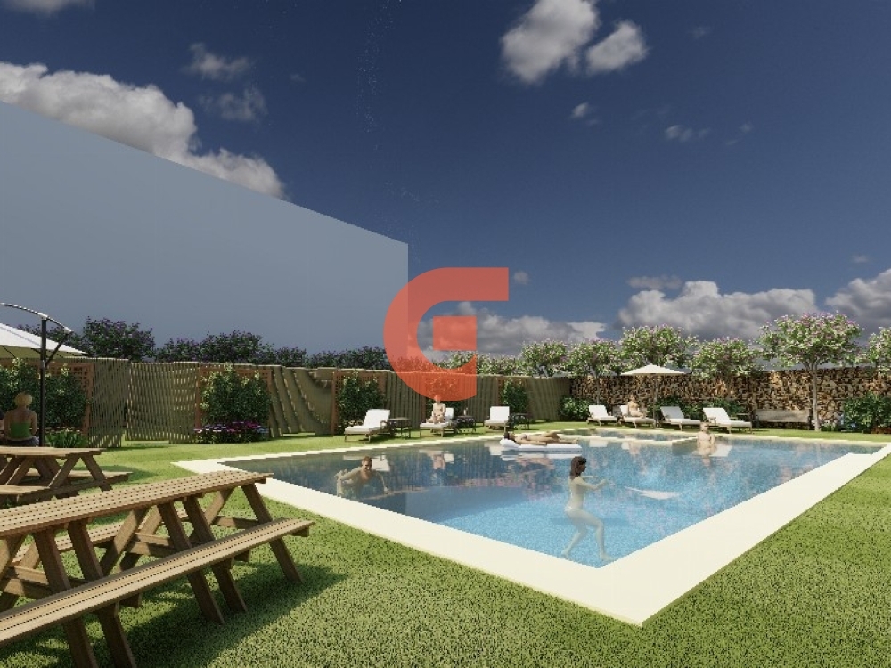 195_backyard (2)_1000x1000