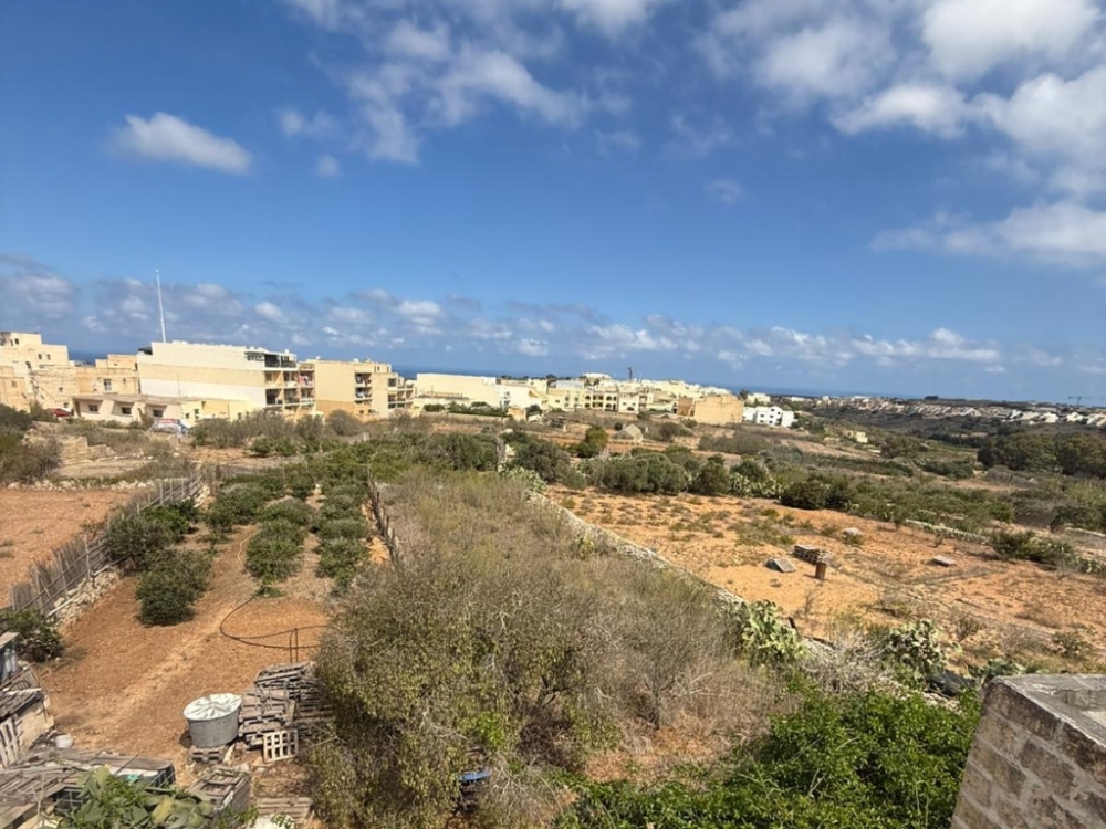 WhatsApp Image 2025-11-12 at 14.59.46 (2) WhatsApp Image 2025-11-12 at 14.59.46 (2)