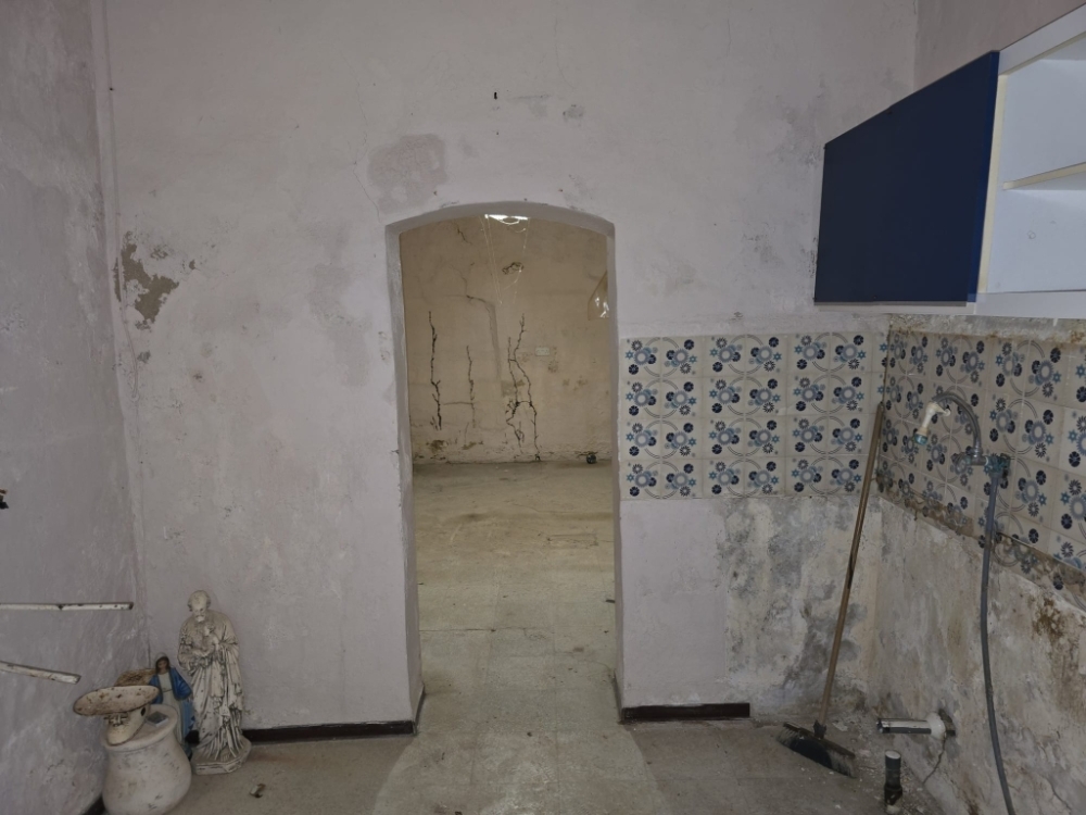 WhatsApp Image 2026-03-25 at 17.07.51ppppppp